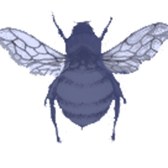ddc50